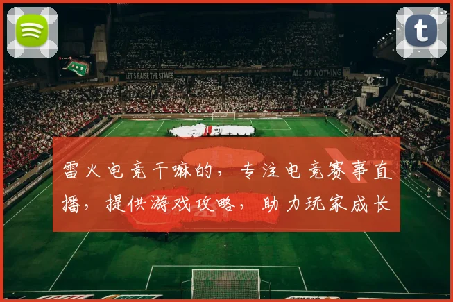 雷火电竞干嘛的，专注电竞赛事直播，提供游戏攻略，助力玩家成长，打造电竞盛宴三重奏