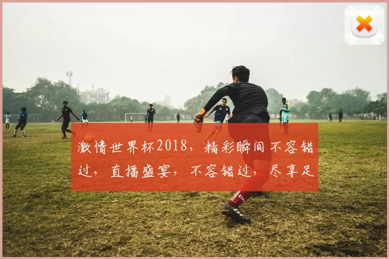 激情世界杯2018，精彩瞬间不容错过，直播盛宴，不容错过，尽享足球盛宴