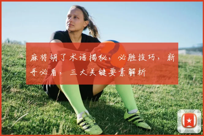 麻将胡了术语揭秘，必胜技巧，新手必看，三大关键要素解析