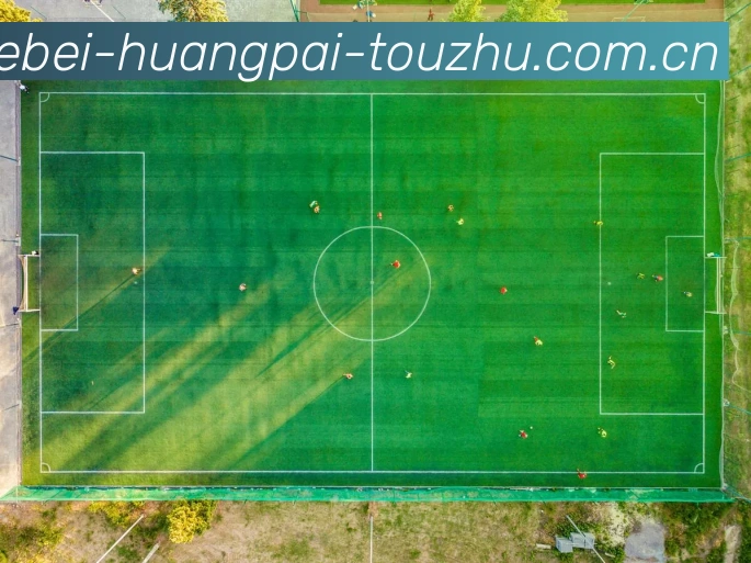 奖项证书